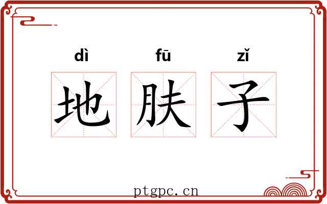 地肤子