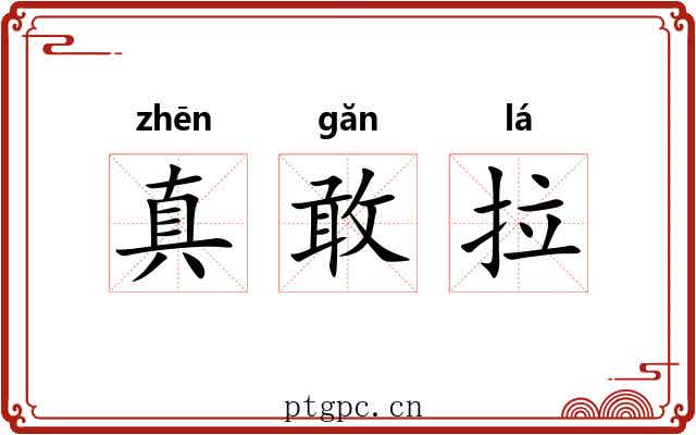 真敢拉