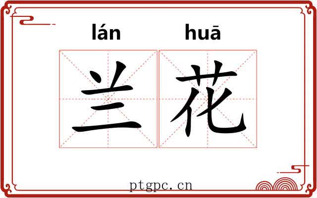 兰花