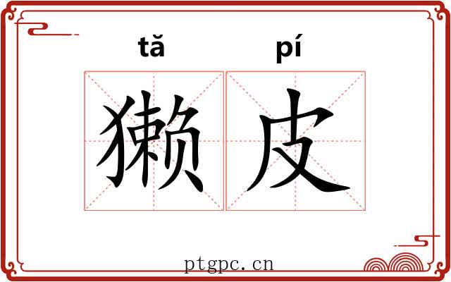 獭皮