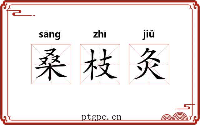 桑枝灸