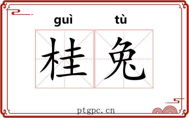 桂兔