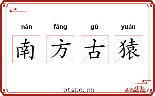 南方古猿