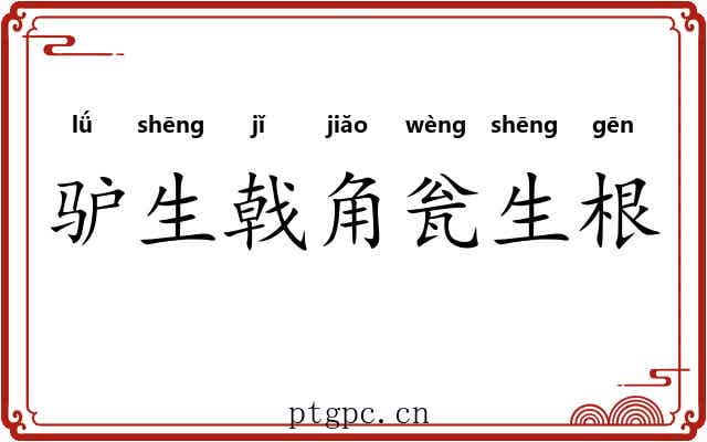 驴生戟角瓮生根 驴生戟角瓮生根