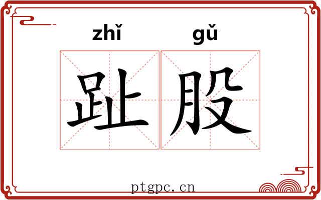 趾股