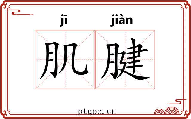 肌腱