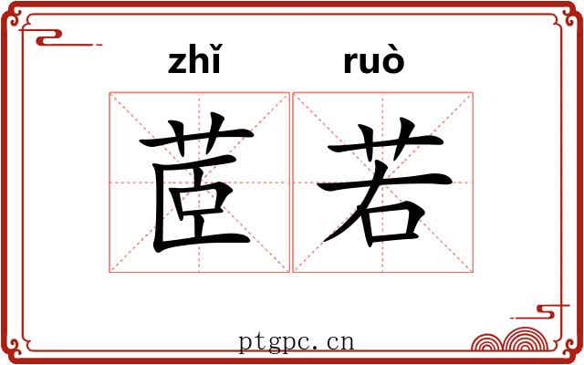 茝若