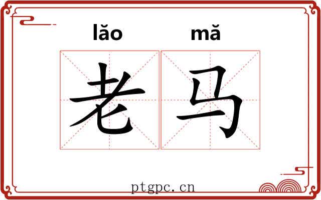 老马 老马
