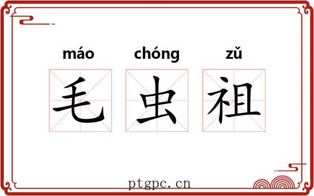 毛虫祖
