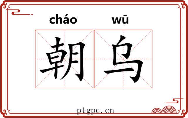 朝乌 朝乌