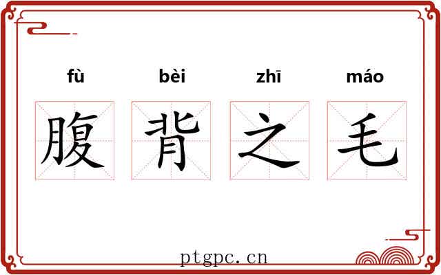腹背之毛 腹背之毛
