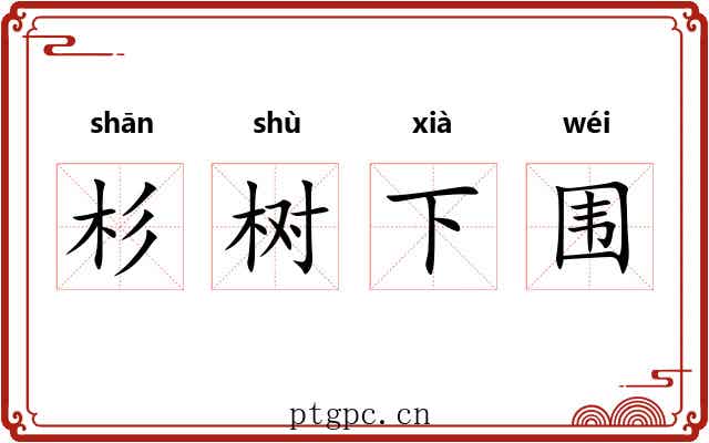 杉树下围