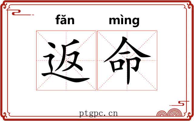 返命
