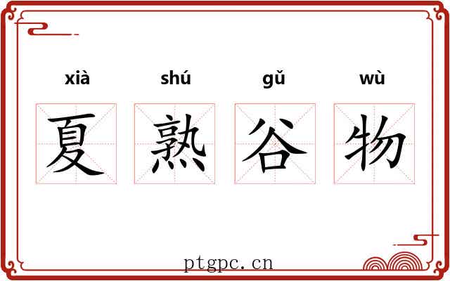 夏熟谷物 夏熟谷物