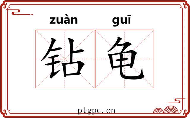 钻龟