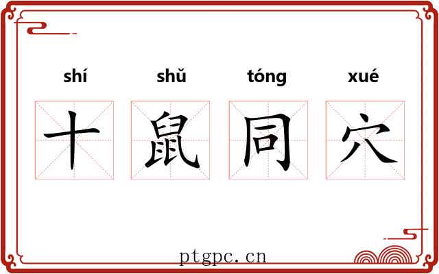 十鼠同穴