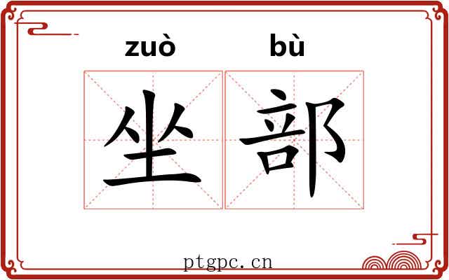 坐部