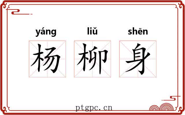 杨柳身