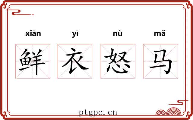 鲜衣怒马