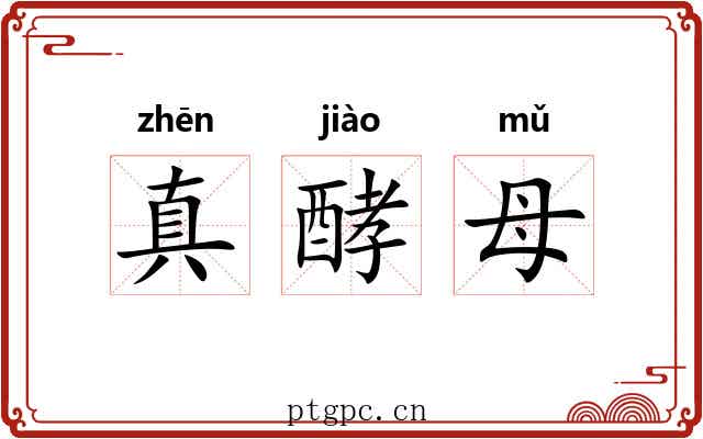 真酵母
