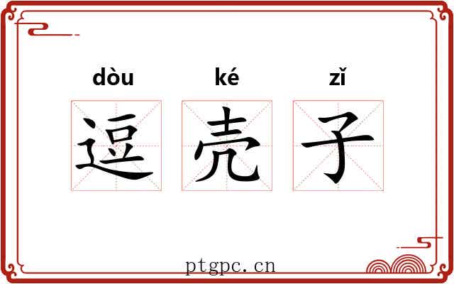 逗壳子 逗壳子