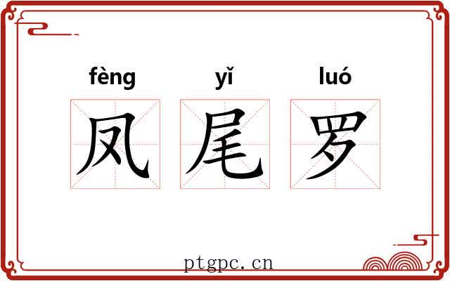凤尾罗 凤尾罗