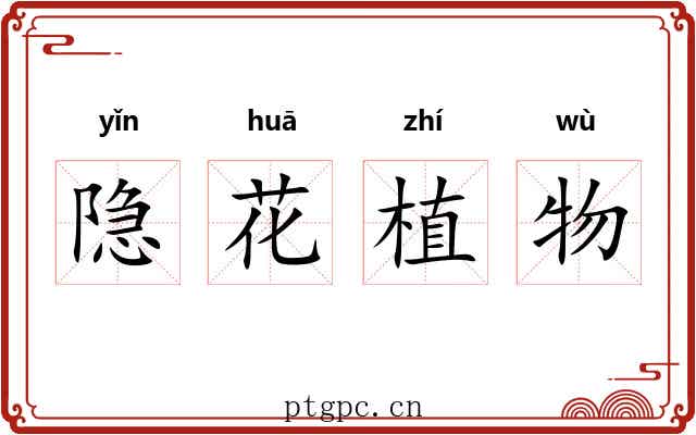 隐花植物