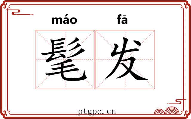 髦发