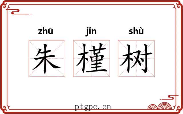 朱槿树