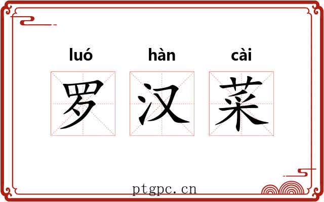 罗汉菜 罗汉菜