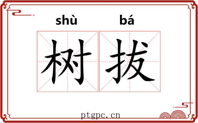 树拔 树拔