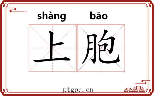 上胞 上胞