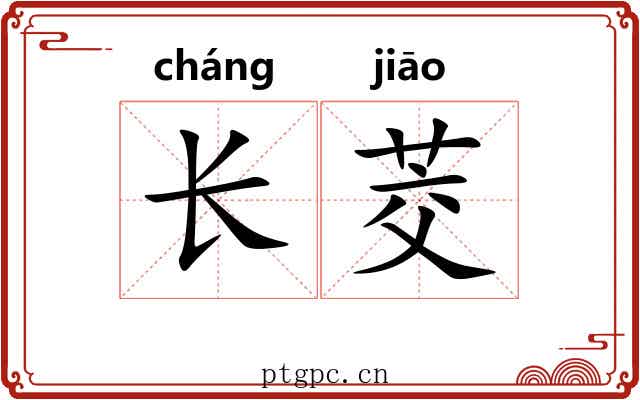 长茭 长茭