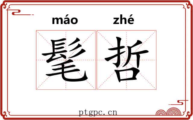 髦哲
