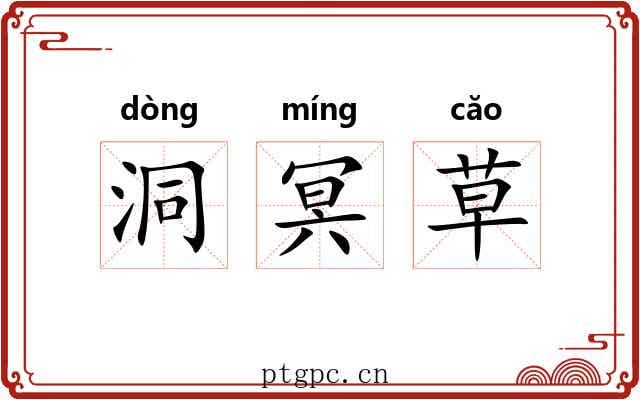 洞冥草
