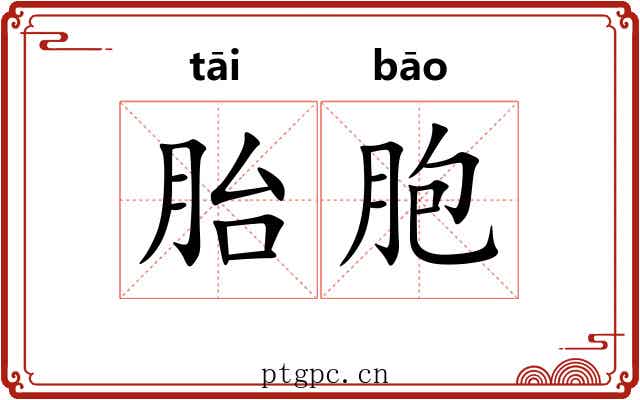 胎胞