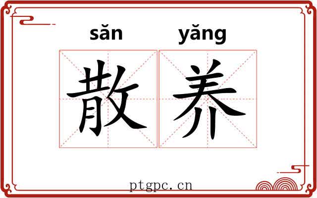 散养 散养
