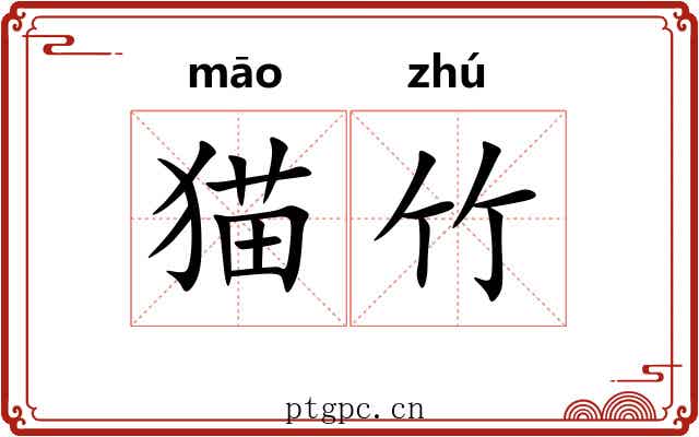 猫竹
