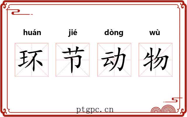 环节动物