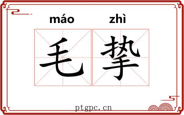 毛挚