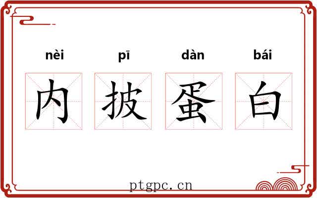 内披蛋白
