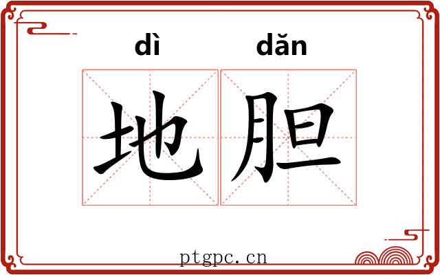 地胆