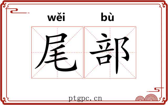 尾部