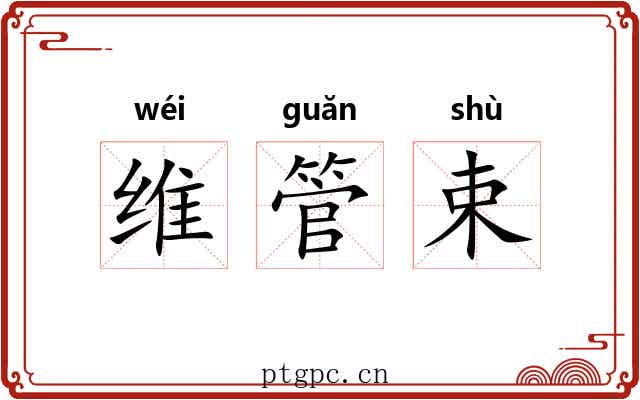 维管束