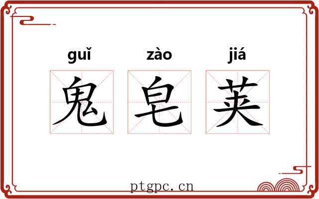 鬼皂荚