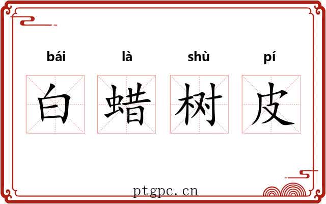 白蜡树皮 白蜡树皮