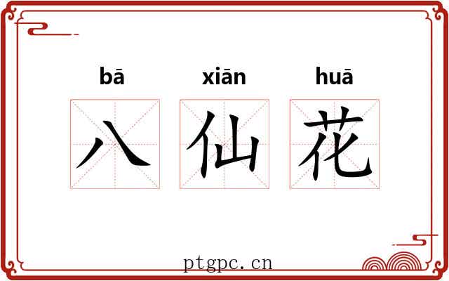 八仙花