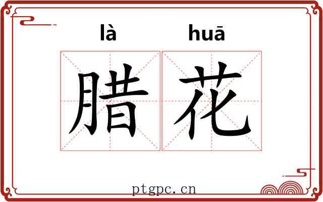 腊花