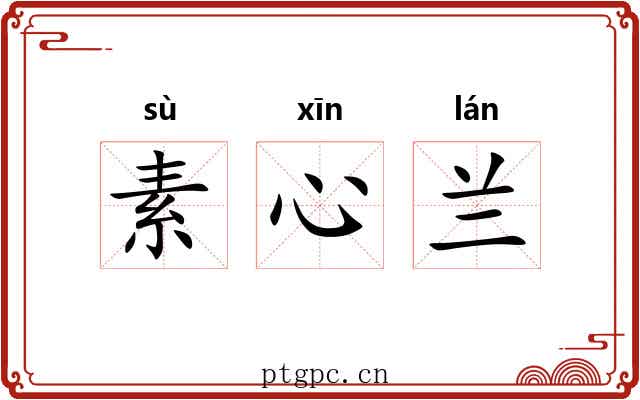 素心兰 素心兰