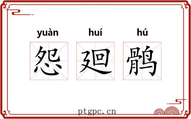 怨廻鹘